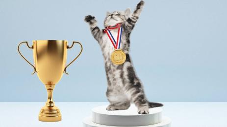 котка рекорд на Гинес