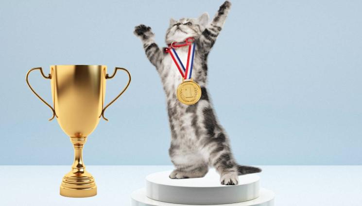 котка рекорд на Гинес - МЕЧТАТА НА ИНФЛУЕНСЪРИТЕ: Котка е с 4.5 милиона последователи в социалните мрежи!