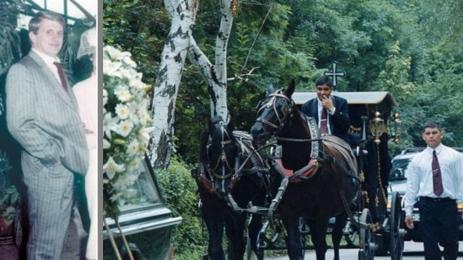 бяата лисица