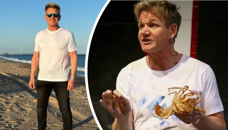 Гордън Рамзи - САКАТЛЪК: Гордън Рамзи се преби жестоко! (ВИДЕО)