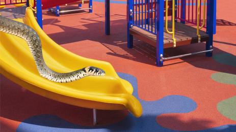 детска площадка смок