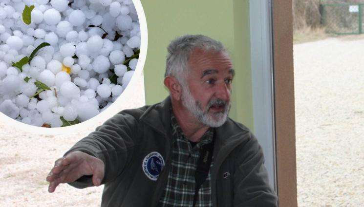 Петър Янков - Екологът д-р Петър Янков пред „Телеграф“: Градушките удариха и много зайци