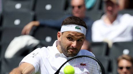 Григор Димитров Адриан Манарино