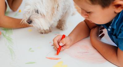 куче пастели