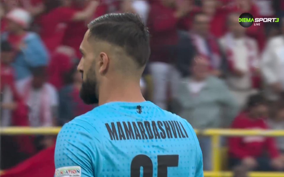 Турците притиснаха от самото начало Грузия и бяха близо до