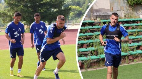 Алекс Колев