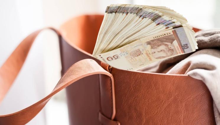 чанта пари - СКАНДАЛНИ ХАРЧОВЕ: Държавно дружество пръскало пачки за бижута, дрехи и козметика!