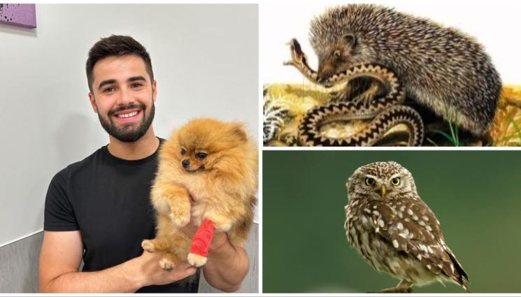 живитони - Митове за животинския свят