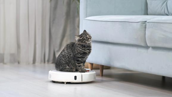 6 интелигентни гаджети за котки, които ще улеснят живота ви