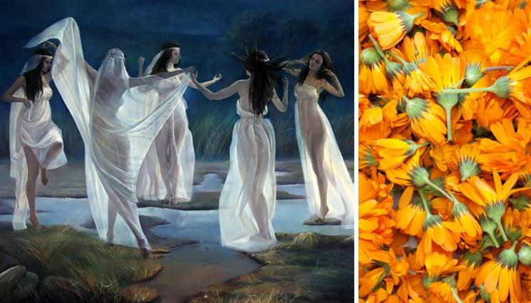 Еньовден - СПОРЕД ДРЕВНИ ПОВЕРИЯ: Самодивите се показват на Еньовден! (СНИМКА)