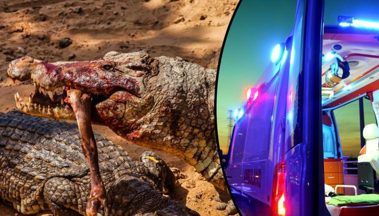 алигатор нападение - ГОЛЯМА ГРЕШКА: Бездомник се изкъпа в езеро с 1200 алигатора и част от него стана тяхна вечеря (ВИДЕО)