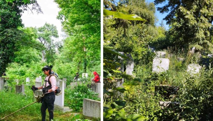 косене - Столичани се жалват на поразия: Газим бурени на Черешова задушница