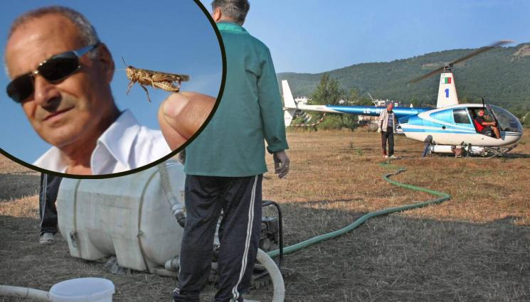 скакалци пръскане - Хеликоптери срещу скакалци в небето над Пирин