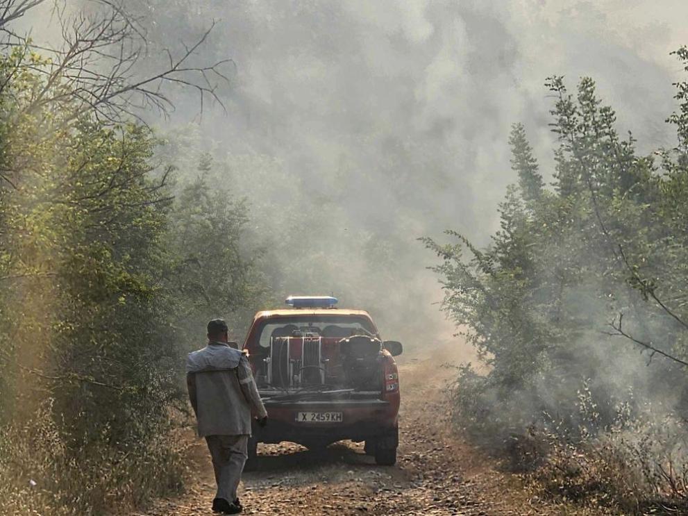 Продължава борбата с двата големи пожара, които избухнаха в Сакар планина на