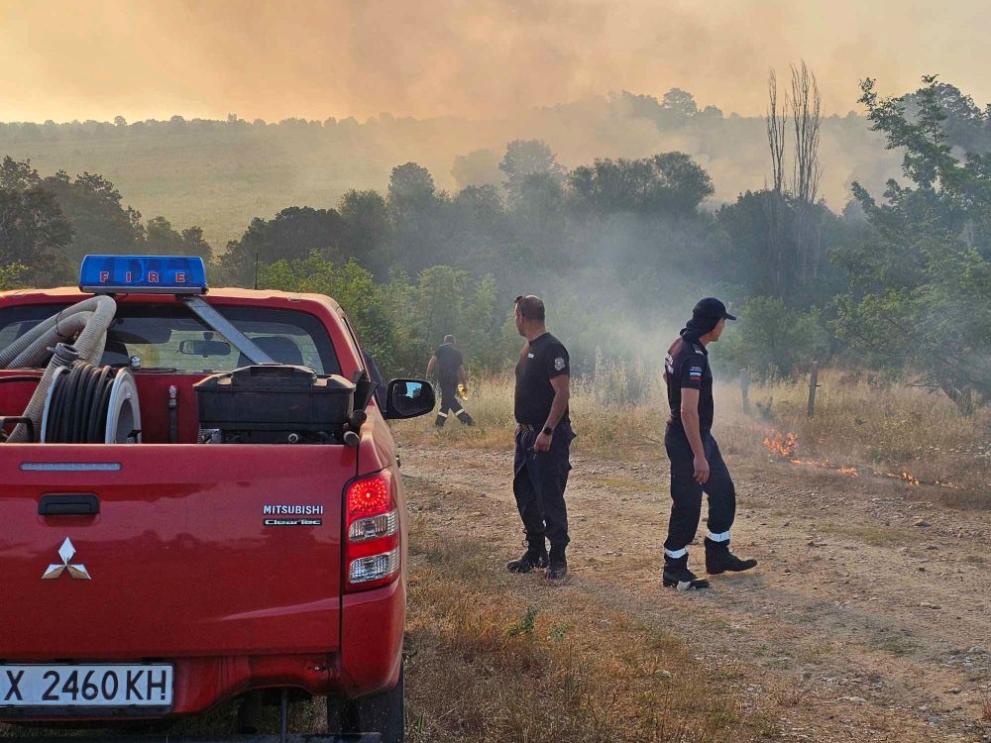 Един от двата големи горски пожара, които от 23 юни