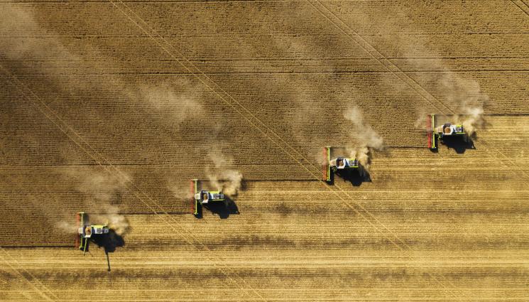 жътва - Агро Телеграф: Полските култури с топлинен стрес