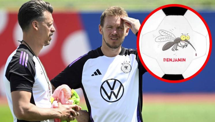 Бундестим Евро 2024 - Бундестанкът нападнат в базата! Комари като месершмити създават ядове на машината на Негелсман