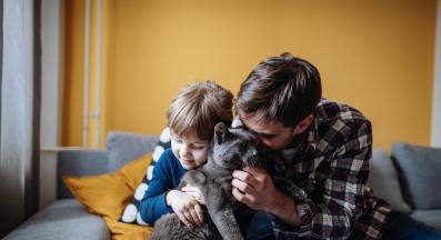 котка се гушка