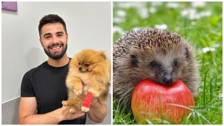 Йоан Славчев