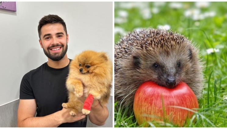 Йоан Славчев - Митове за животинския свят (ЧАСТ 2)