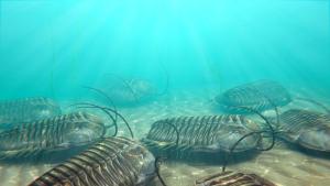 Трилобит  живял преди милиони години  е открит в изключително запазено състояние съобщи Пи Ей Мидия ДПА   Трилобитите населяват водните басейни на планетата преди 500 млн  години и
