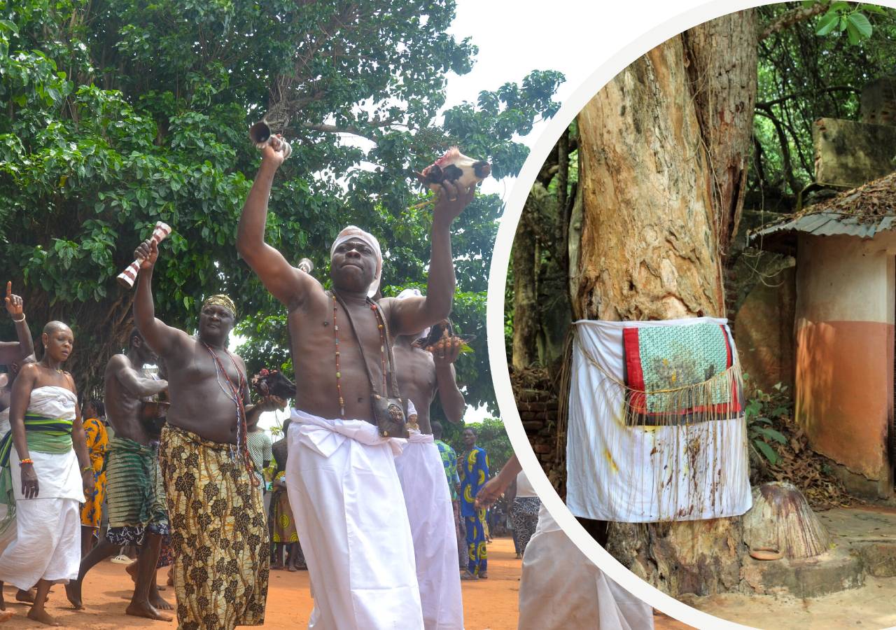 Дървото на забравата