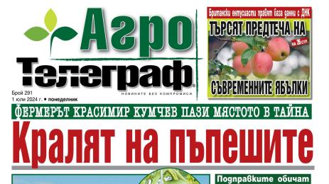 Агро Телеграф