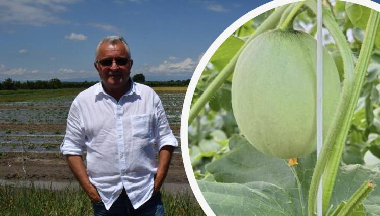 Красимир Кумчев - Агро Телеграф: Кралят на пъпешите зрее край Пловдив