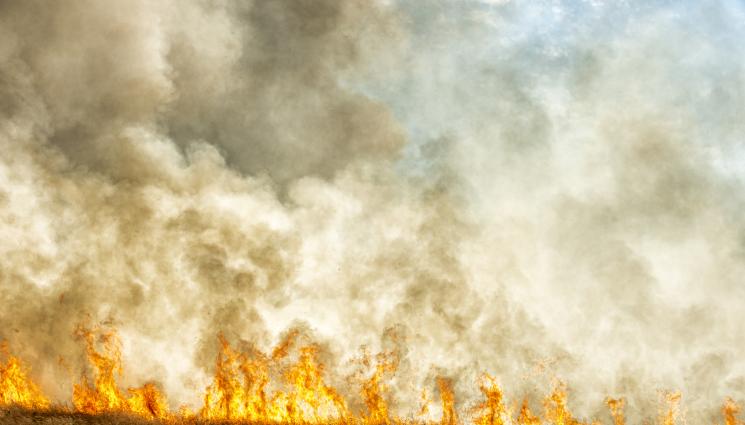 пожар - СЛЕД МЪГЛИЖ ПЛАМНА И ПЛОВДИВ: Подпали се Младежкия хълм!