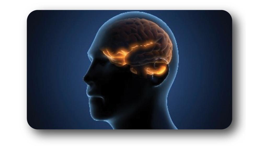  звук в ушите 