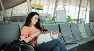 котка на самолет