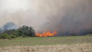 Пожар възникна в землището на Свиленград и засегна 1500 дка