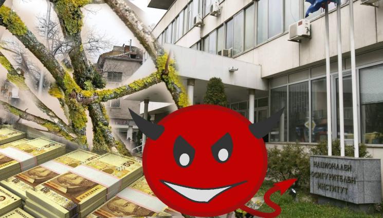 нои клечки измами - ТАРИКАТЛЪЦИ: Съчкосъбирачи във Франция точат обезщетения!