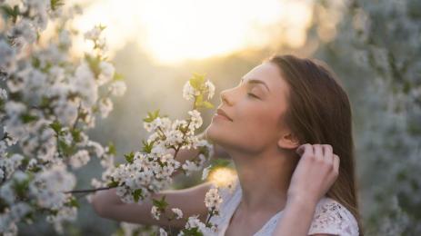 жени Балкани