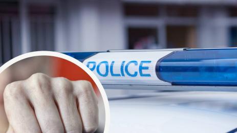 жена полиция