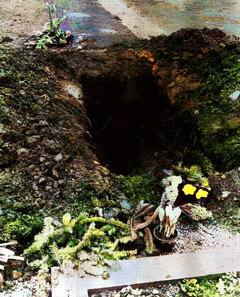 Чарли Чаплин