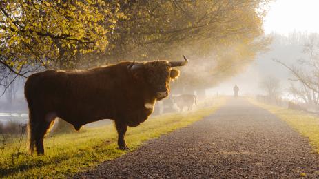 бик велосипедист колело