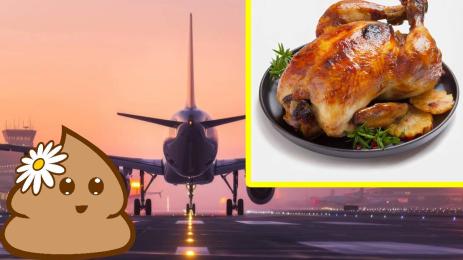 самолет пиле ако