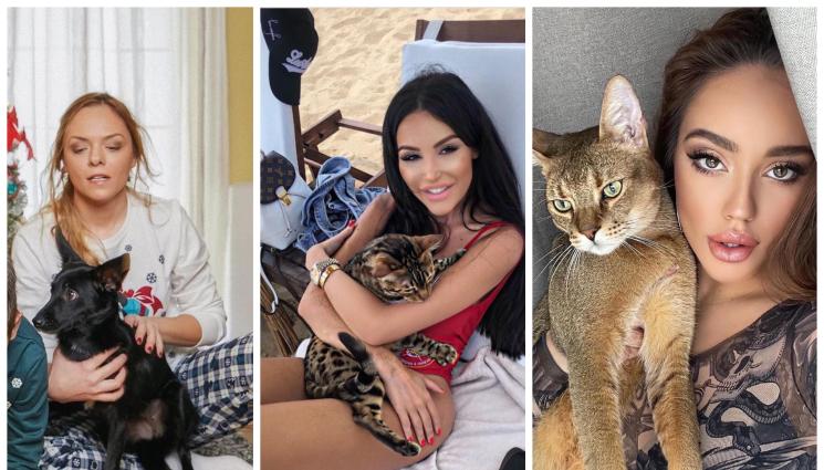 звезди - ДОМАШНИТЕ ЛЮБИМЦИ НА ЗВЕЗДИТЕ: Биляниш и Моника Валериева отглеждат диви котки