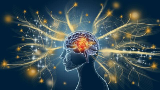 Изследване: България е сред най-интелигентните страни в света, изпреварва всичките си съседки