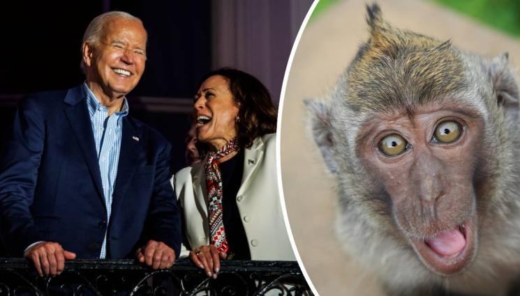 Джо Байдън - ИЗЦЕПКИТЕ НЕ СПИРАТ: Джо Байдън се провъзгласи за „първата чернокожа жена“ в Белия дом