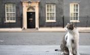 Котаракът Лари от "Даунинг стрийт" ще посрещне шестия премиер на Великобритания