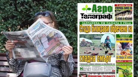 Агро Телеграф