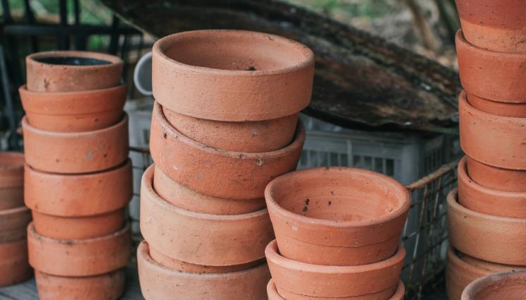 саксия - Агро Телеграф: Напояваме градината с глинени саксии