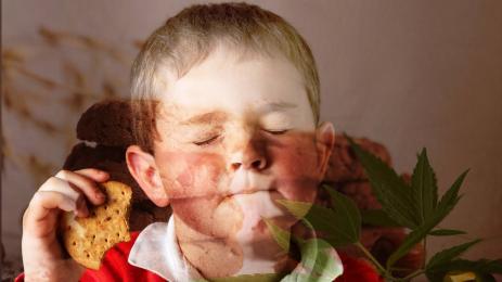 бисквити канабис