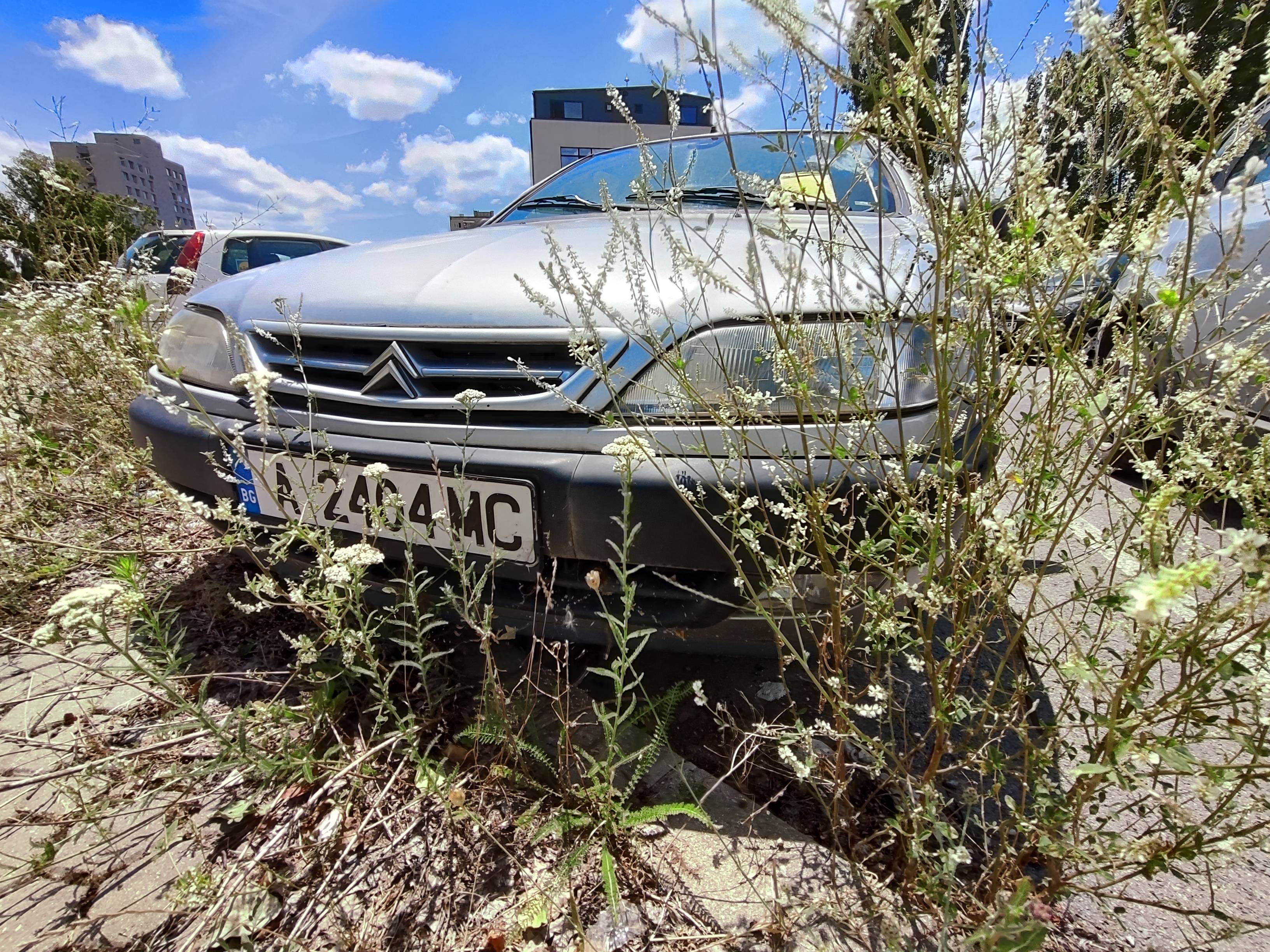 коли за скрап