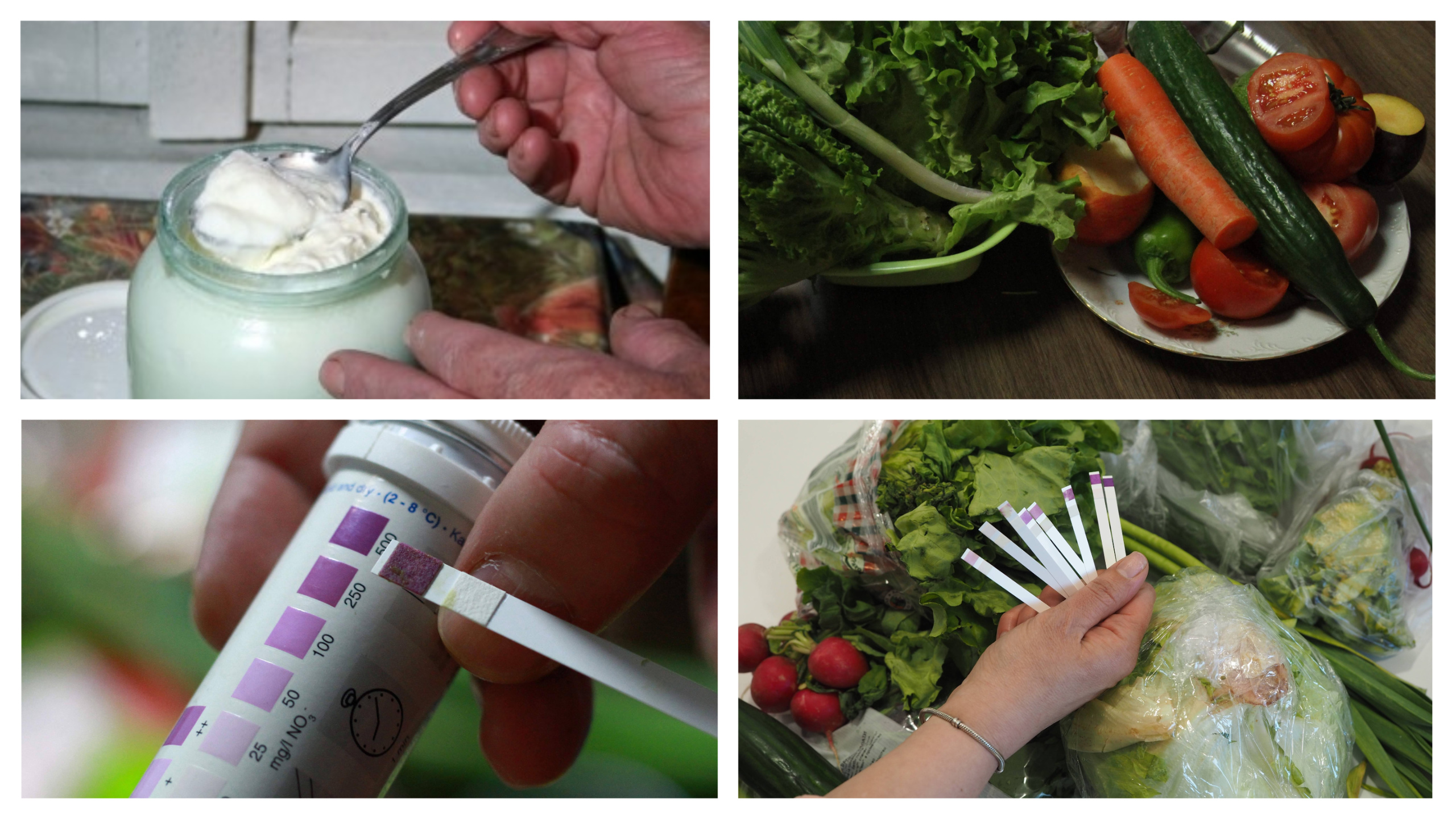 Богомил Николов