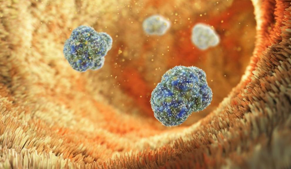 Мъж от Ямболско е с положителна проба за бруцелоза. Здравните