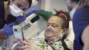 Лиза Пизано първата жена на която беше трансплантиран свински бъбрек