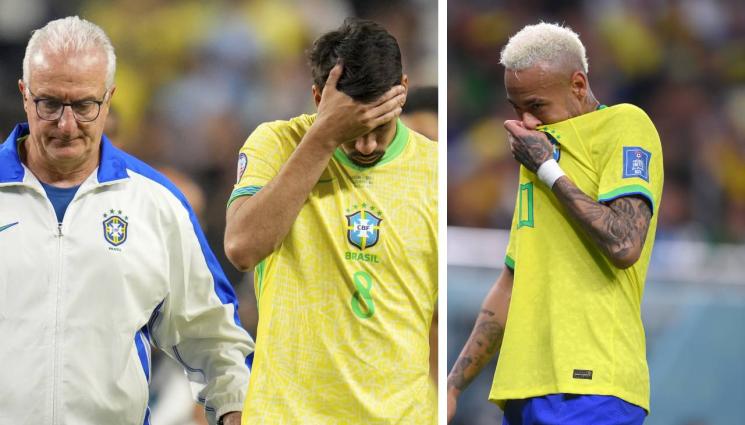 Бразилия - Бразилия страда от проклятието на котката (ВИДЕО)